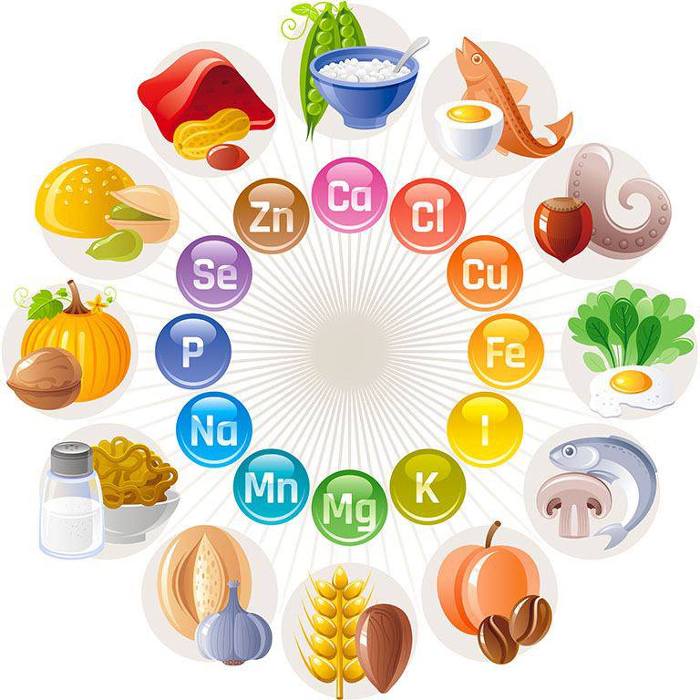 Sources of vitamins